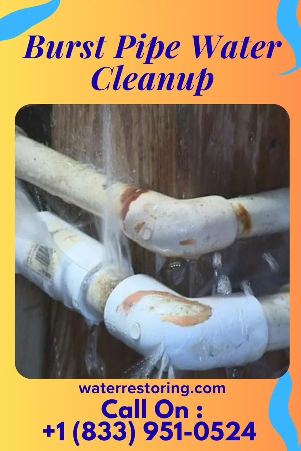 Burst Pipe Water Cleanup in Exira, IA