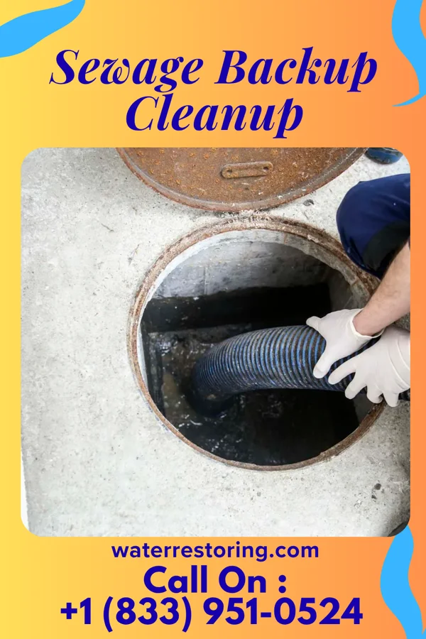 Sewage Backup Cleanup in Exira, IA